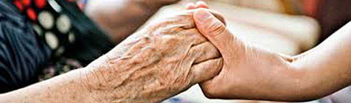 Photo of Elderly and Young Hands